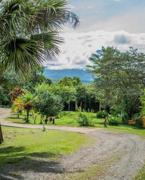 Linda Casa De Verano Con Amplias Zonas Verdes San Isidro De El General Extérieur photo